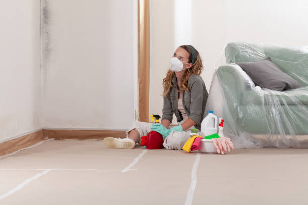 Reliable Mold Remediation contractor in Lutherville Timonium, MD by Car Mold Remediation